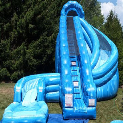Quality inflatable dry slide Oem From China-Tongtoy