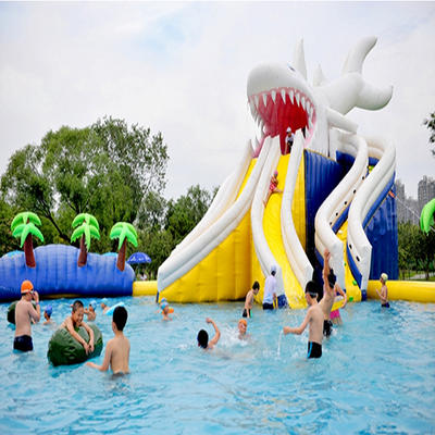 Hot Selling PVC Customized Inflatable Pool Water Slide for Kids Fun