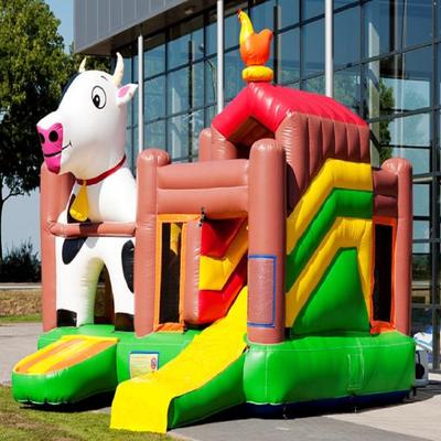 Hot Sale Customized Color Inflatable Clown Bouncer And Bouncy Castle